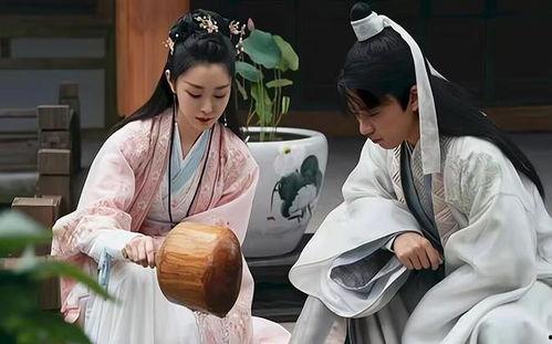 穿越医仙成赘婿,揭秘穿越医仙的传奇人生