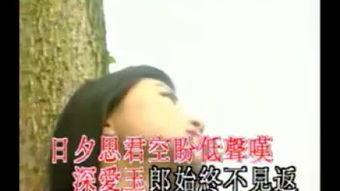 新浪子回头,揭秘网络红人的崛起与转型之路